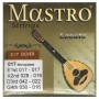 Mastro Silver Cretan Lute 017 Σετ χορδές Κρητικού λαούτου