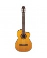 Takamine -