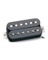 Seymour Duncan -