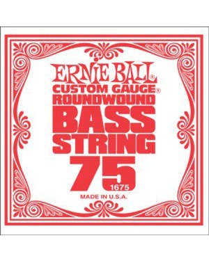 Ernie Ball -