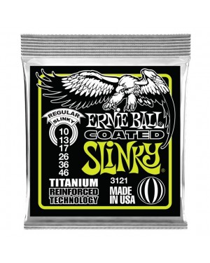 Ernie Ball -