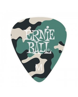 Ernie Ball -