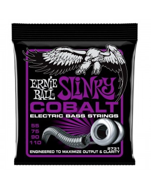 Ernie Ball -