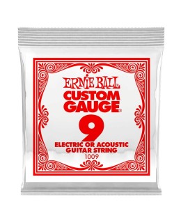 Ernie Ball -