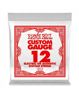 Ernie Ball -