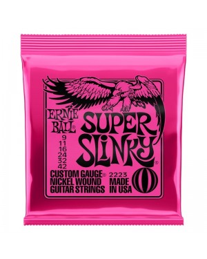 Ernie Ball -