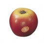 REMO Apple Small Shaker