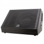 PEAVEY SP 12M - 500 Watt RMS Passive Floor Monitor