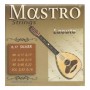 Mastro Laouto Silver Lute String Set