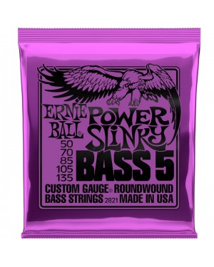 Ernie Ball -