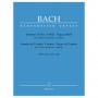 Barenreiter Bach - Two Sonatas And A Fugue for Violin & Basso Continuo Βιβλίο για βιολί