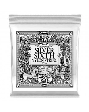 Ernie Ball -