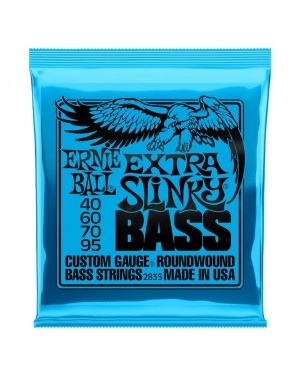 Ernie Ball -