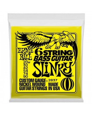 Ernie Ball -