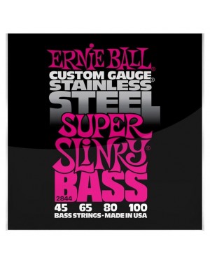 Ernie Ball -