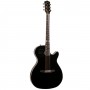 Godin Multiac Steel Doyle Dykes Black & TRIC Case Ηλεκτροακουστική κιθάρα