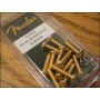 Fender Pickup & Selector 12 Gold Screws