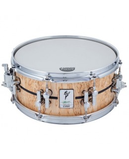 SONOR -