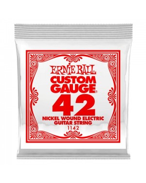 Ernie Ball -