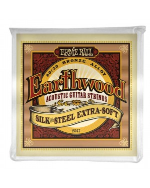 Ernie Ball -