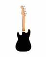 Fender -