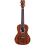 Cordoba 15CB Concert Bocote Acoustic Ukulele