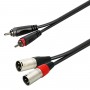 SOUNDSATION Go-Link 2 RCA Male - 2 XLR Male 1.00m Adapter Cable