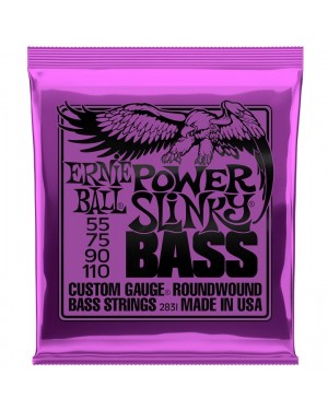 Ernie Ball -