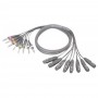 SUNRISE 8 Female XLR - 8 Jack Male Balanced 3.00m Multi Cable