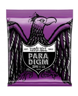 Ernie Ball -