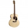 Norman Encore B20 Mini Jumbo Presys Electric - Acoustic Guitar