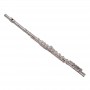 SOUNDSATION SFL-10 DO (C) Silver & Case Flute