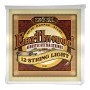 Ernie Ball 2010 Earthwood 80/20 Bronze Light 009-046 Acoustic Guitar 12-String Set