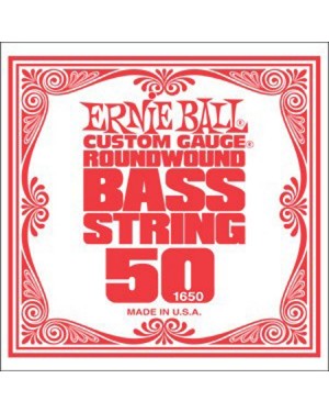 Ernie Ball -