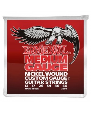 Ernie Ball -