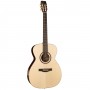 Simon & Patrick Showcase Rosewood Concert Hall & TRIC Acoustic Guitar