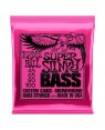 Ernie Ball -