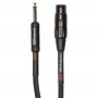 Roland Black Series XLR Male HiZ - Jack Male Mono 6.00m Καλώδιο αντάπτορας