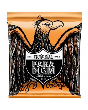 Ernie Ball -