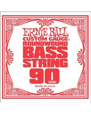 Ernie Ball -