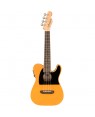 Fender -