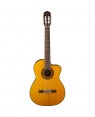 Takamine -