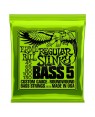 Ernie Ball -