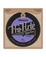 D'Addario -