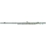 Trevor James TJ-3011E & Case Flute