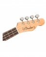 Fender -