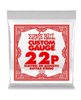 Ernie Ball -