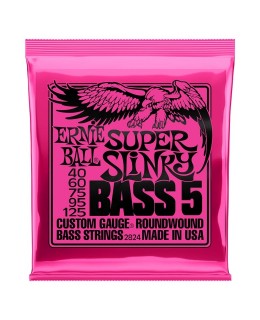 Ernie Ball -