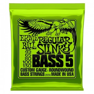 Ernie Ball -