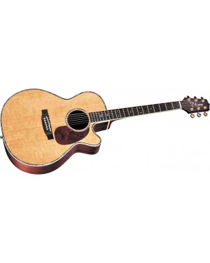 Takamine -